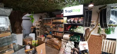 Terrarium24 Lublin terraria, gady, pokarmy, akcesoria, owady, gekony ,terrarystyka